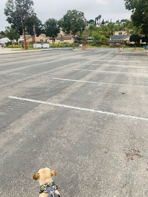 Penn Athletic Field by null