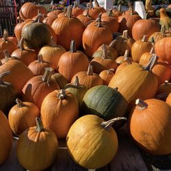 Lansing Farm Market & Greenhouses - Pumpkins