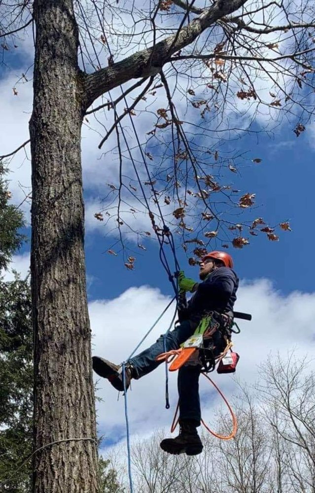 TOP NOTCH TREE SERVICE Updated May 2024 Request a Quote Barnstead