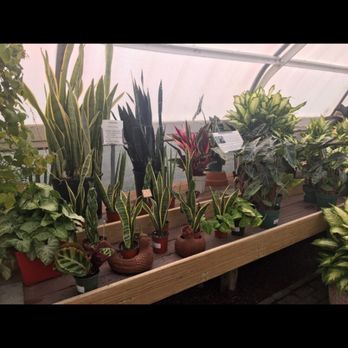 Kennedy's Country Gardens - Nurseries & Gardening Near Me - Scituate, Massachusetts