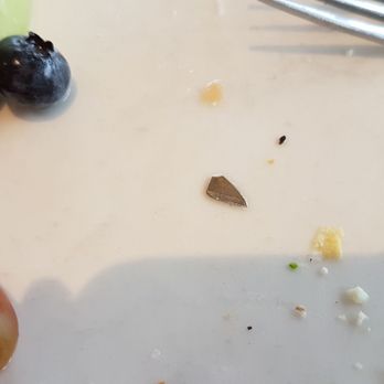 Cora's Breakfast & Lunch - The knife blade tip I found embedded in my food. Not cool - Breakfast & Brunch Near Me - Vaughan, Ontario Cora's Breakfast & Lunch - The knife blade tip I found embedded in my food. Not cool - Breakfast & Brunch Near Me - Vaughan, Ontario