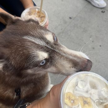 Good Neighbor Cafe - Coffee & Tea Near Me - Hermosa Beach, California