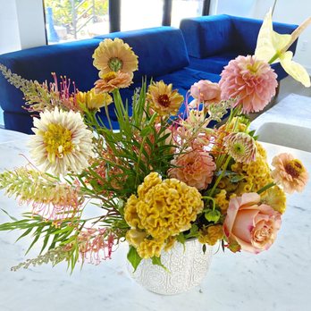 Native Poppy - Florists Near Me - Solana Beach, California Native Poppy - Florists Near Me - Solana Beach, California