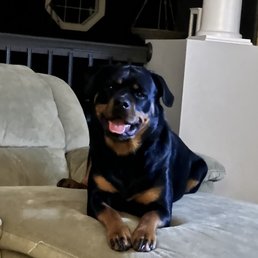 Onyx Onyx