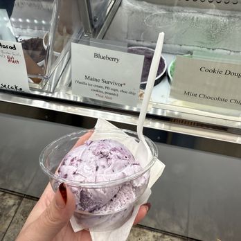 CJ's Big Dipper - blueberry ice cream - Ice Cream & Frozen Yogurt Near Me - Bar Harbor, Maine CJ's Big Dipper - blueberry ice cream - Ice Cream & Frozen Yogurt Near Me - Bar Harbor, Maine
