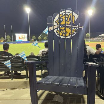 Charleston Riverdogs - Professional Sports Teams Near Me - Charleston, South Carolina Charleston Riverdogs - Professional Sports Teams Near Me - Charleston, South Carolina