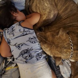 Papas, 13y Neutered Male Staffordshire Terrier and my 2yo Papas, 13y Neutered Male Staffordshire Terrier and my 2yo