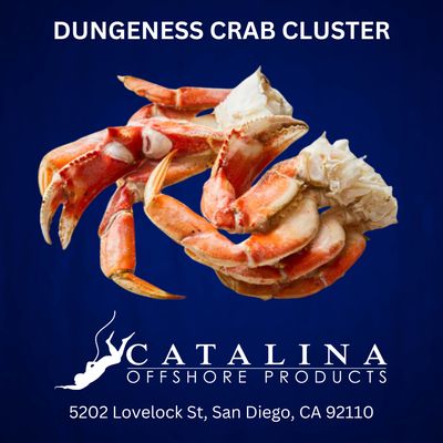 Catalina Offshore Products by null