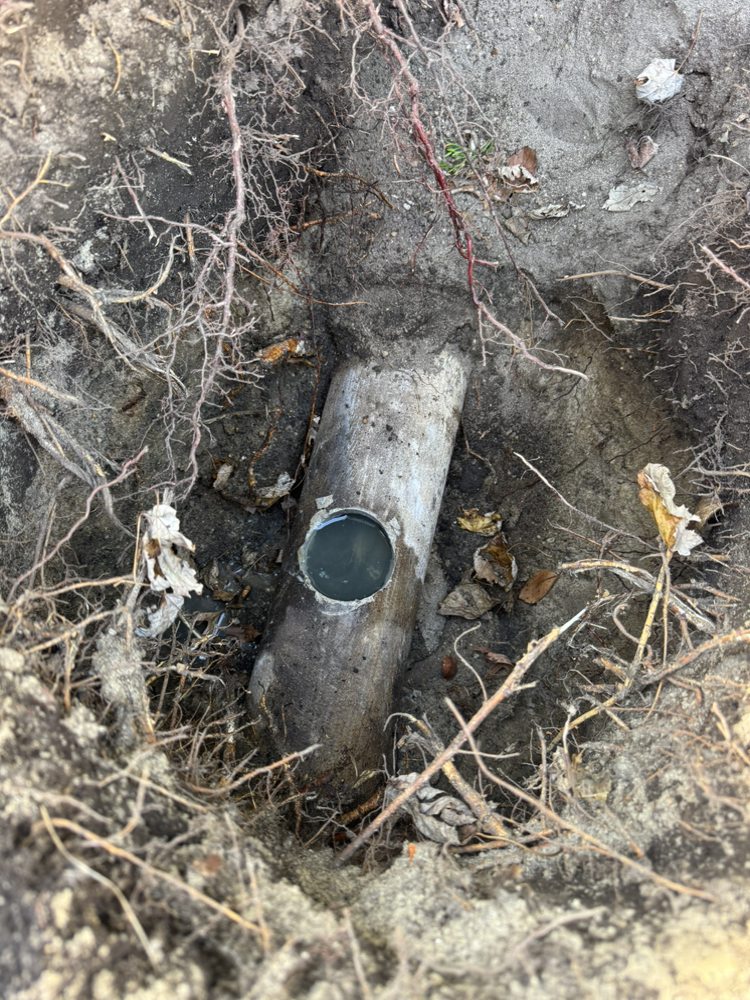 Slide of Clogs For US