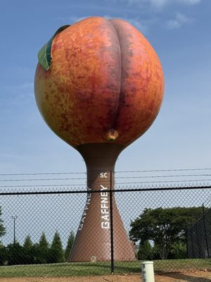 Peachoid by null