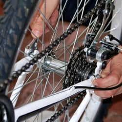 Rik's Bike Shed