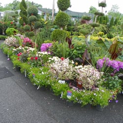 Garden World Florist 2019 All You Need To Know Before Garden World Florist 2019 All You Need To Know Before