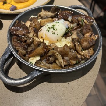 Jaleo - Mushroom dish - Spanish Near Me - Washington, DC, District of Columbia