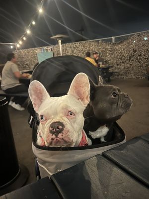 Bay Hill Tavern by null