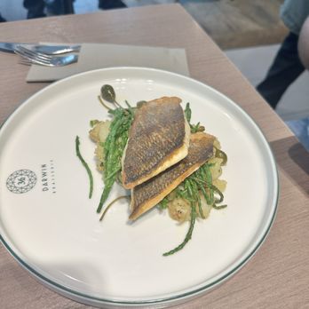 Darwin Brasserie - Brasseries Near Me - London, XGL