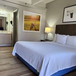 Days Inn by Wyndham Denver Downtown - Guest room
