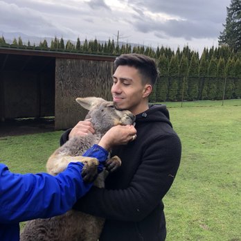 Fall City Wallaby Ranch - Best hugs ever - Ranches Near Me - Fall City, Washington