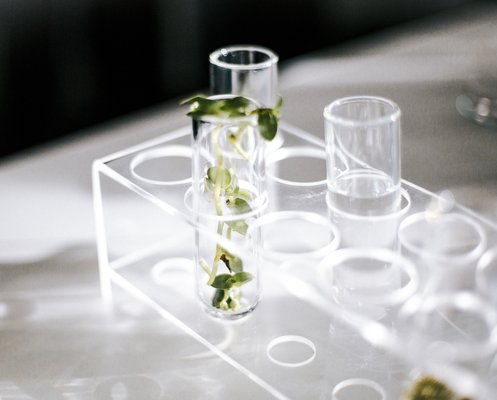 Sisley Spa at The Dominick by null