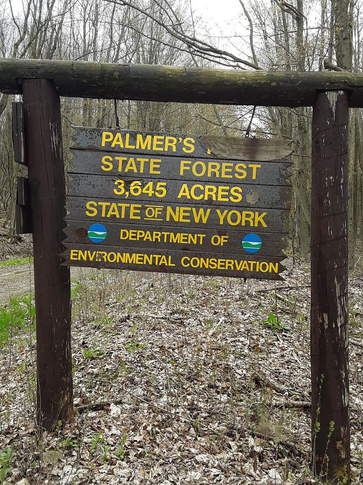 Social spots from Palmer's Pond State Forest