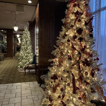 Carnegie Hotel - Gorgeous trees in the lobby - Hotels Near Me - Johnson City, Tennessee Carnegie Hotel - Gorgeous trees in the lobby - Hotels Near Me - Johnson City, Tennessee