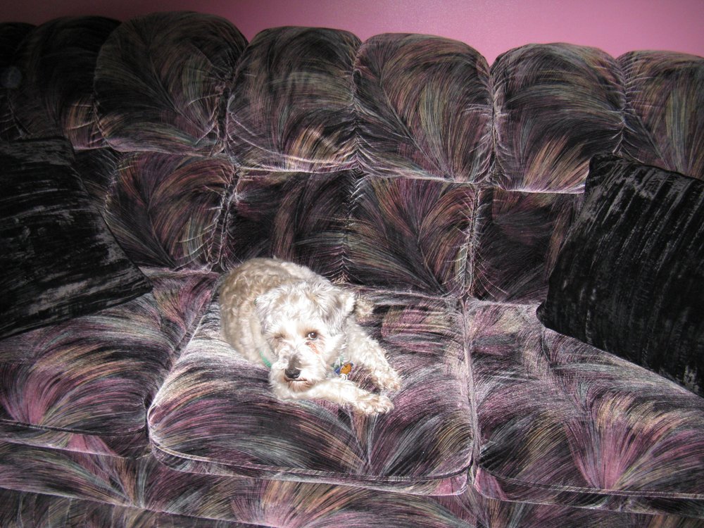 COSTCO Updated September 2024 10 Photos 870 Montee des Pionniers