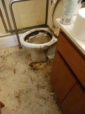 Groves Cleaning Services / Janitor's Closet by null