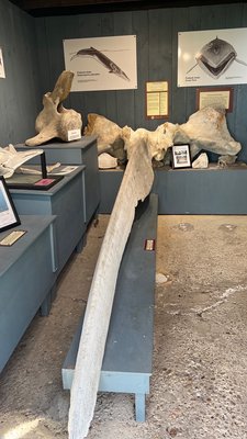 Horton Point Lighthouse Nautical Museum by null