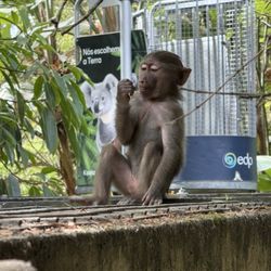 Jardim Zoológico de Lisboa