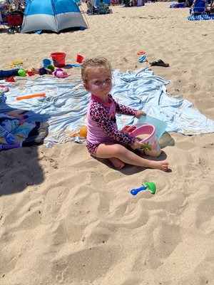 Silver Beach County Park by null