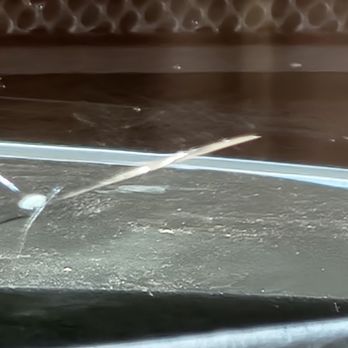 Safelite AutoGlass - Twice as big as the original chip. - Auto Glass Services Near Me - Tucson, Arizona Safelite AutoGlass - Twice as big as the original chip. - Auto Glass Services Near Me - Tucson, Arizona