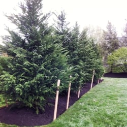 J Bill Landscaping - Time to install new landscaping, irrigation and mulch.