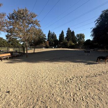 University Dog Park - Big dog side - Dog Parks Near Me - Sacramento, California University Dog Park - Big dog side - Dog Parks Near Me - Sacramento, California