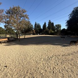 University Dog Park - Big dog side
