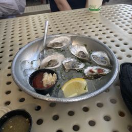 Oysters Oysters