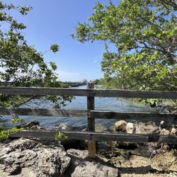 Hawksbill Park