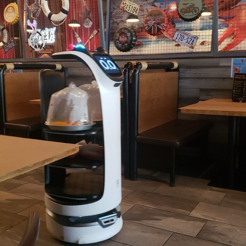 Rock N’ Crab - Robotic waiter - Seafood Near Me - West Palm Beach, Florida Rock N’ Crab - Robotic waiter - Seafood Near Me - West Palm Beach, Florida