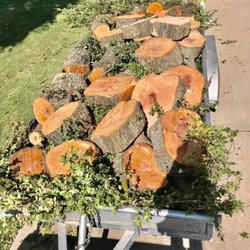 Nortex Tree Service
