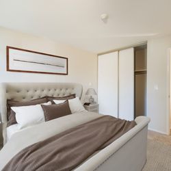 Bridgeport Apartments