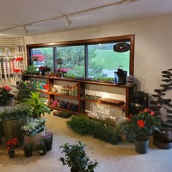 Sanders Creek Company - Our new Garden Nursery!  We have all your plants and plant needs!