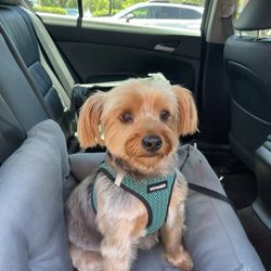 Woof Gang Bakery & Grooming