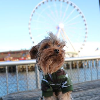 Pier 58 - Parks Near Me - Seattle, Washington Pier 58 - Parks Near Me - Seattle, Washington