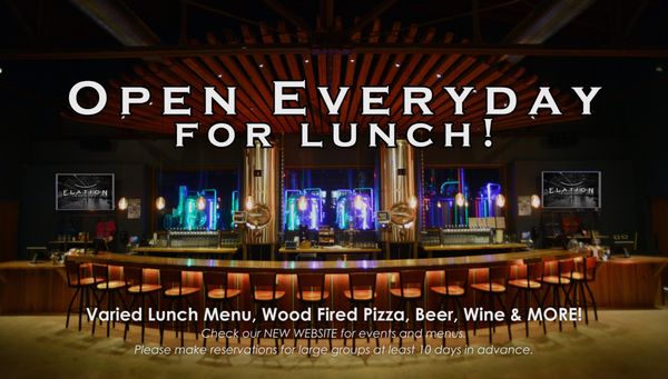 Elation Brewing by null