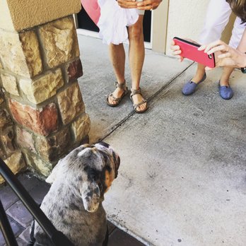 Cinnamon Tree Cafe - DOG FRIENDLY! :) blueberry is a celebrity now. - Creperies Near Me - Port Orange, Florida