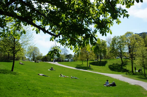 Sinebrychoff Park by null