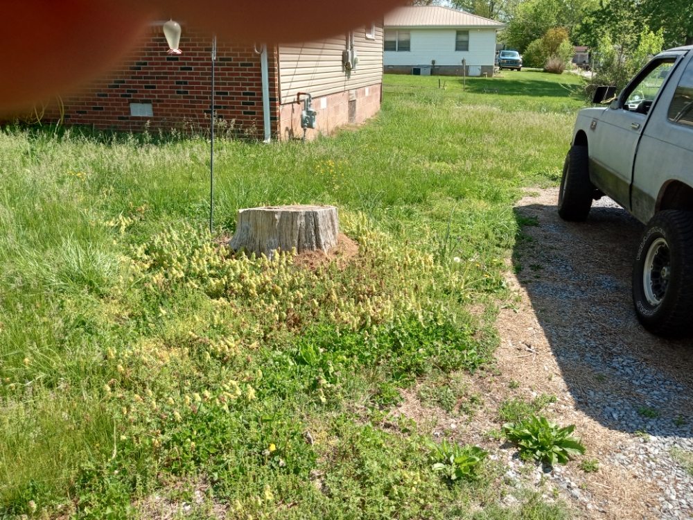 Slide of Easterday Emporium