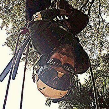 It's More Than Just Trees - Spiderman - Tree Services Near Me It's More Than Just Trees - Spiderman - Tree Services Near Me