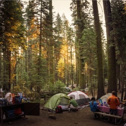 Crane Flat Campground - site #122