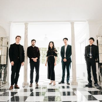 Cattus Quartet - String Quartet - Musicians Near Me