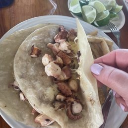 Octopus quesadilla Octopus quesadilla