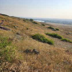 Reservoir Ridge Natural Area